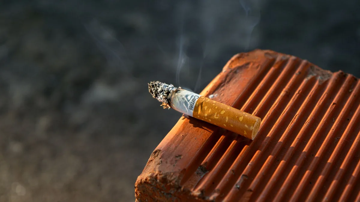 Close-up of a smoked cigarette butt resting on a textured clay surface in outdoor light. — Illustration accompanying coverage of the semaglutide smoking cessation trial now recruiting participants with diabetes